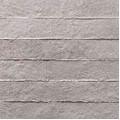 newton_rlv_silver