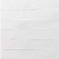 newton_rlv_white