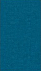 petrol-1